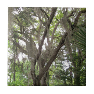 ekar träd med spanska myggor som viftar i grenar kakelplatta