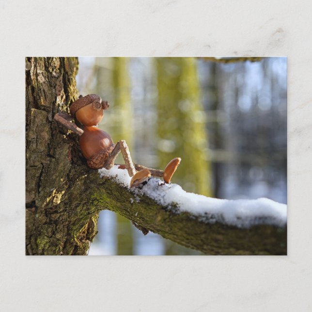 Ekbockvätte i en snöig skog vykort (Framsida)