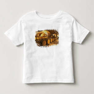 Ekfat i källaren på Domaine Comte Tee Shirt