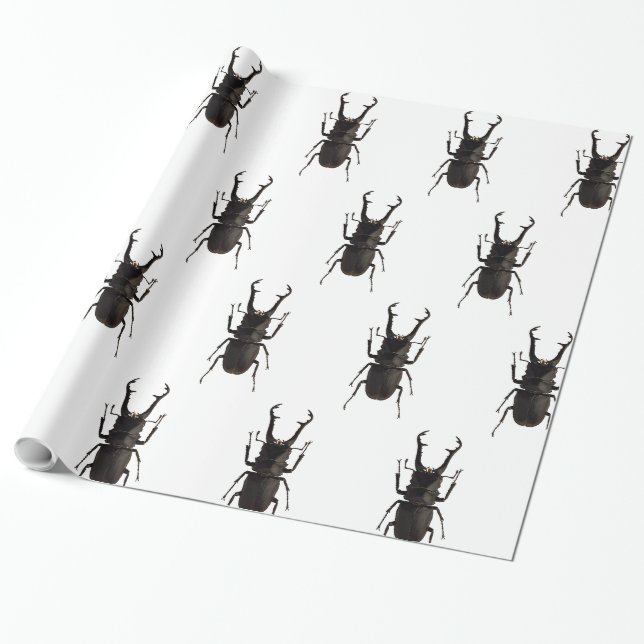 Ekhornsbagge Presentpapper (Utrullad)