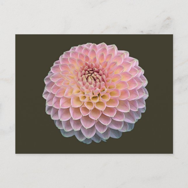 Eklat Vykort (Framsida)