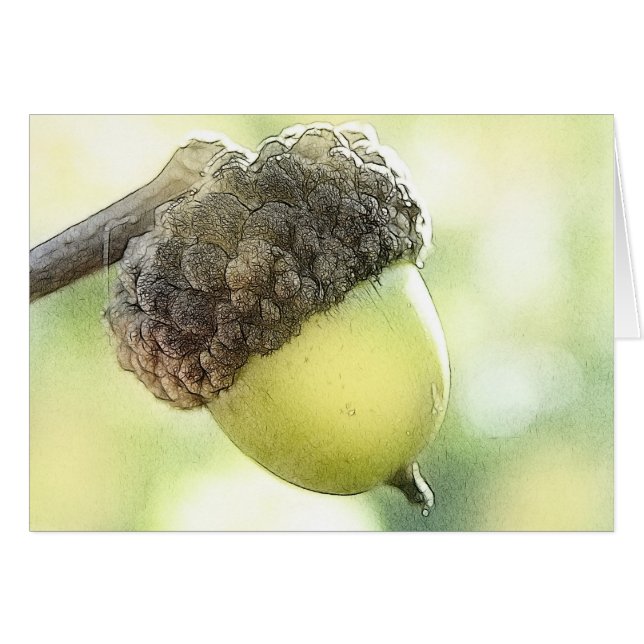 Ekollon Hälsningskort (Framsidan Horizontal)