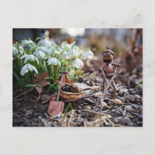 Ekollonälva trädgårdsmästare med snöflinga blomma  vykort