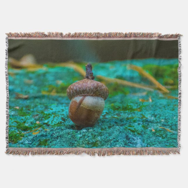 EKOLLONKASTFILTEN MYSFILT (Framsidan)