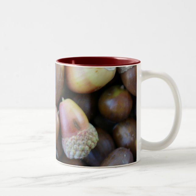 Ekollonmugg Två-Tonad Mugg (Höger)