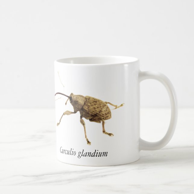 Ekollonsnutebägare Kaffemugg (Höger)
