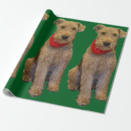 Ekollönspapper Presentpapper