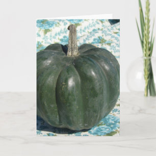 Ekollonsquash Kort