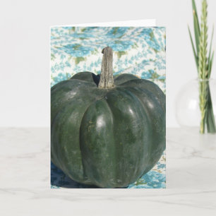 Ekollonsquash Kort