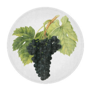 Ekologisk druvklase med gammalt rött vin, matfrukt