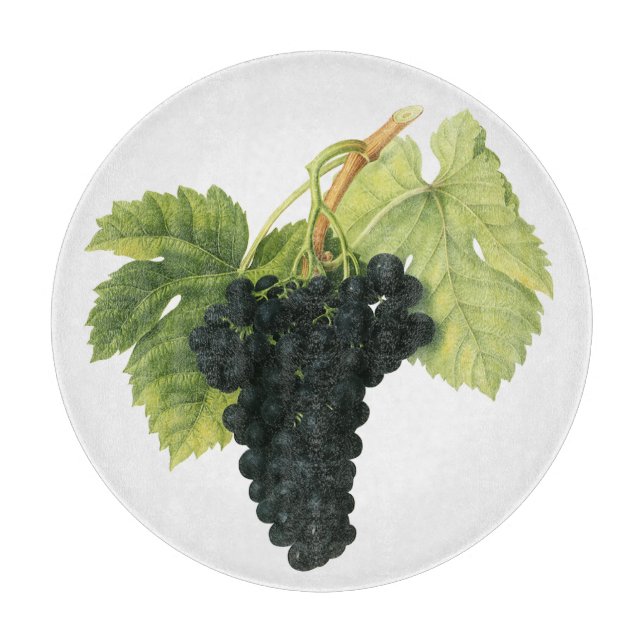 Ekologisk druvklase med gammalt rött vin, matfrukt (Framsidan)