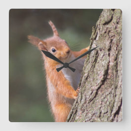 ekorklockan fyrkantig klocka