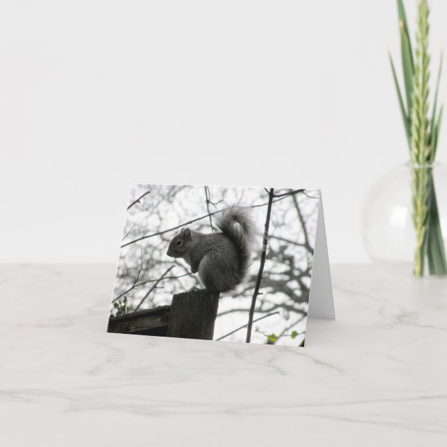 ekorkort kort (Framsida)