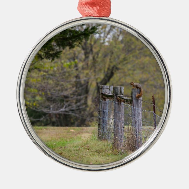 ekorns fästpunkt julgransprydnad metall (Framsidan)