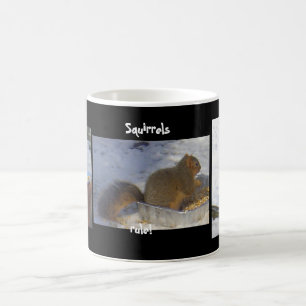 Ekorrar härskar! kaffemugg