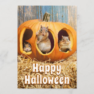 Ekorrar inuti en urholkad Jack-o-Lykt Inbjudningar