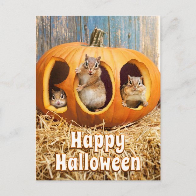 Ekorrar inuti urgröpt Jack-o-Lantern Inbjudan Vykort (Framsida)