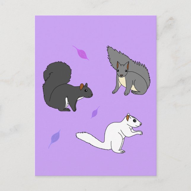 Ekorrar Lila Vykort (Framsida)