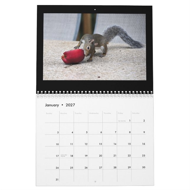 Ekorrar och deras skatter kalender (Jan 2027)
