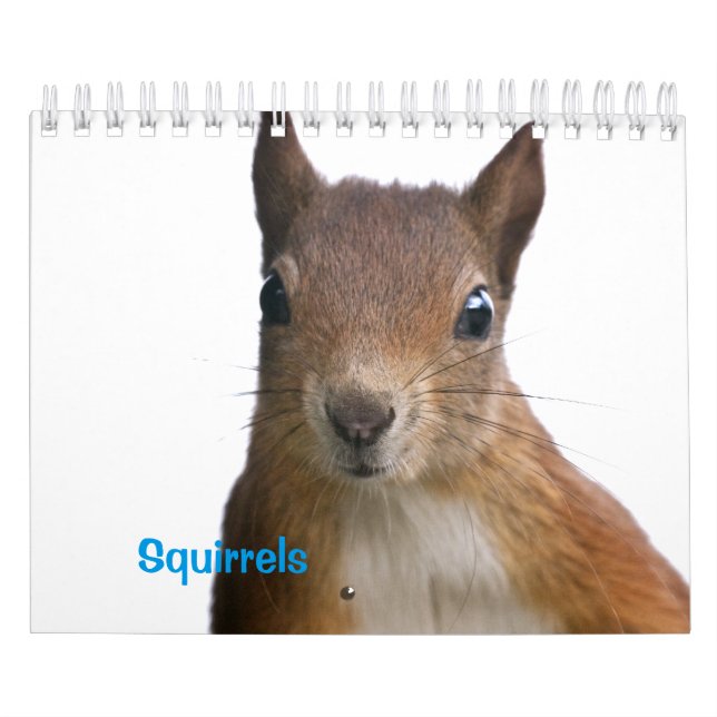Ekorrars Kalender (Omslag)