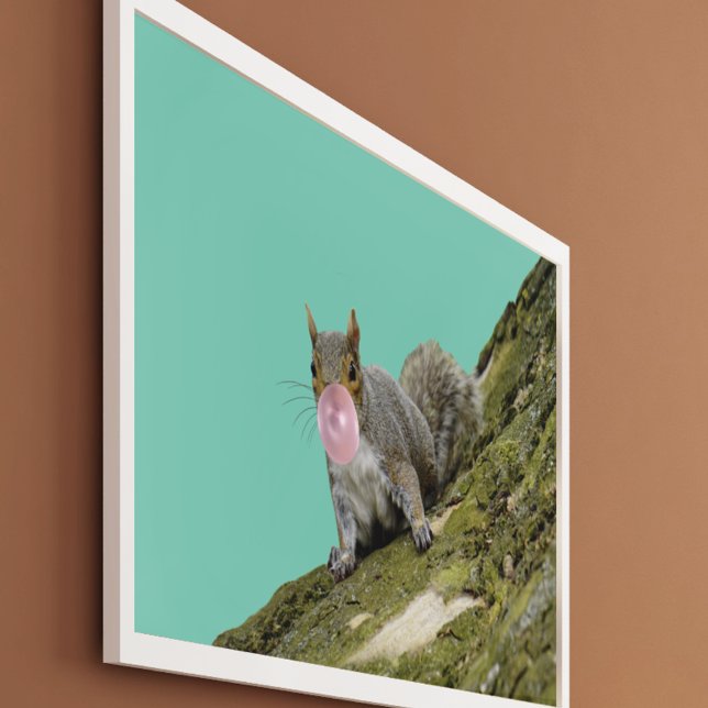 ekorre Blockera ett oblegum-foto från oblekt djur Poster (Skapare uppladdad)