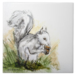 ekorre borta. . . kakelplatta