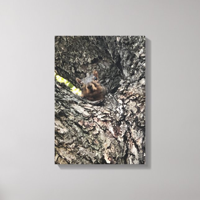 ekorre canvastryck (Framsida)