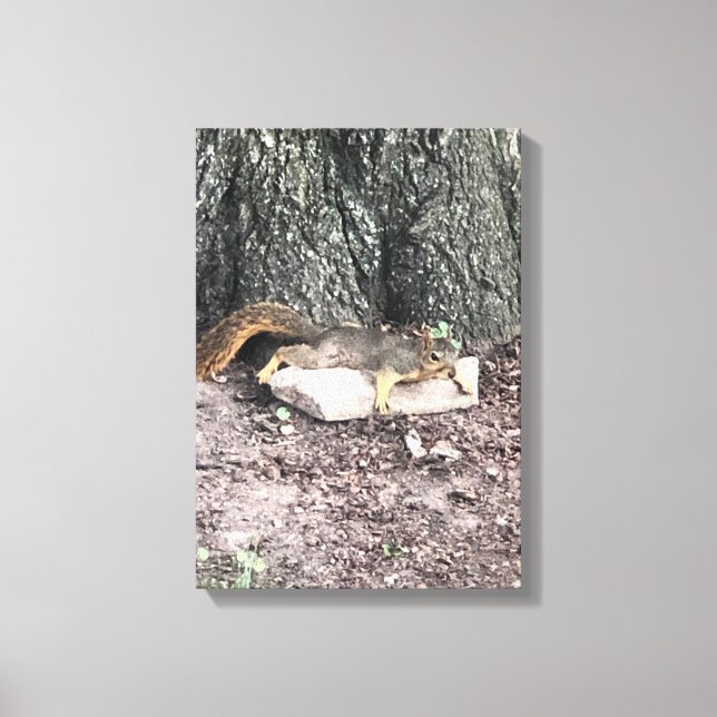 ekorre canvastryck (Framsida)