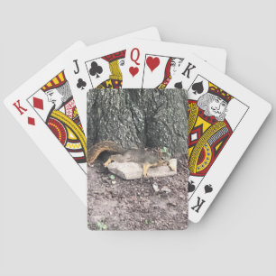 ekorre casinokort