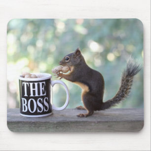 "Ekorre för chefen" Musmatta