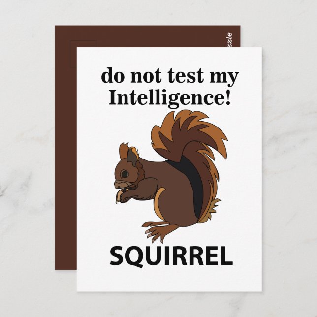 Ekorre Försök Inte Testa Min Intelligens Ekorre Vykort (Fram/baksida)