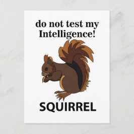 Ekorre Försök Inte Testa Min Intelligens Ekorre Vykort