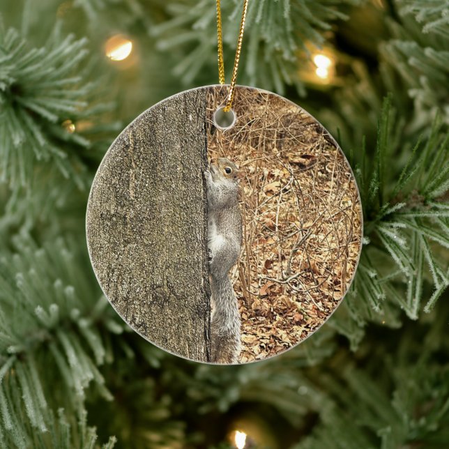 Ekorre Foto Ornament  (Träd)