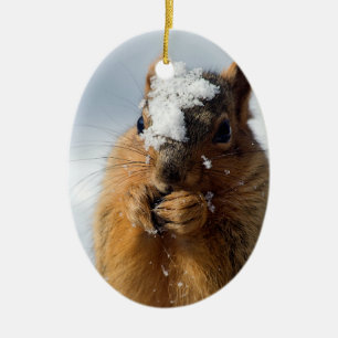 ekorre från Snö Julgransprydnad Keramik