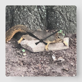 ekorre fyrkantig klocka