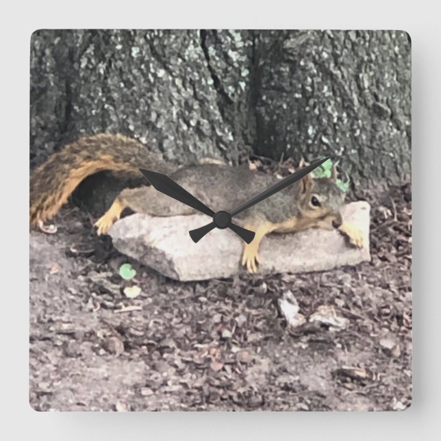 ekorre fyrkantig klocka (Framsida)