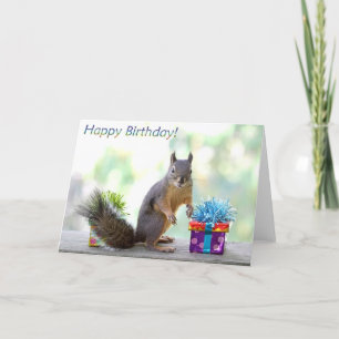 ekorre Grattis på födelsedagen! Kort