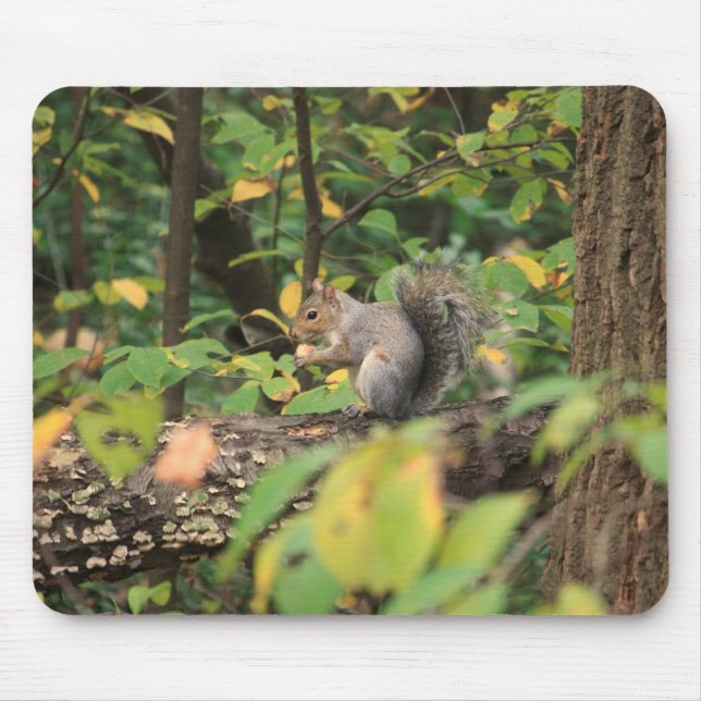 Ekorre i hösten Mousepad Musmatta (Framsidan)