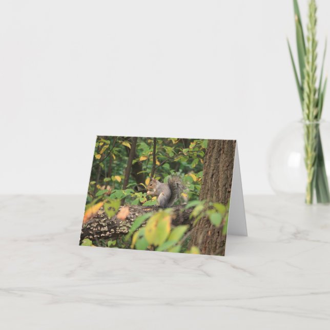 Ekorre i hösten Notecard Kort (Framsida)
