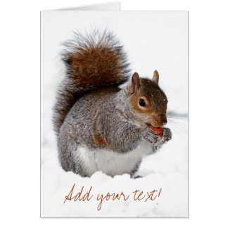 ekorre i Snö Hälsningskort