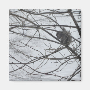 ekorre i Snö Magnet