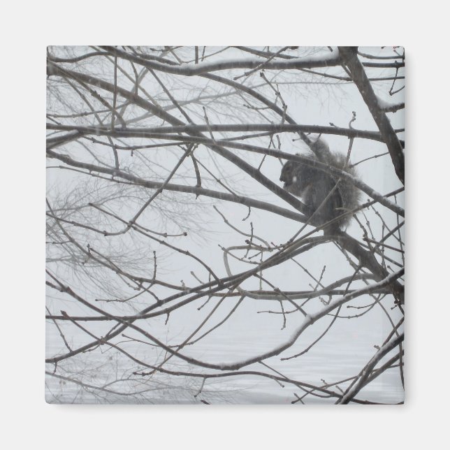 ekorre i Snö Magnet (Framsidan)