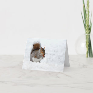 ekorre i Snö med Berry Helgdag Card Helgkort