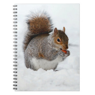 ekorre i Snö med Berry Notebook Anteckningsbok Med Spiral