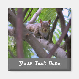 ekorre i Träd Fridge Magnet