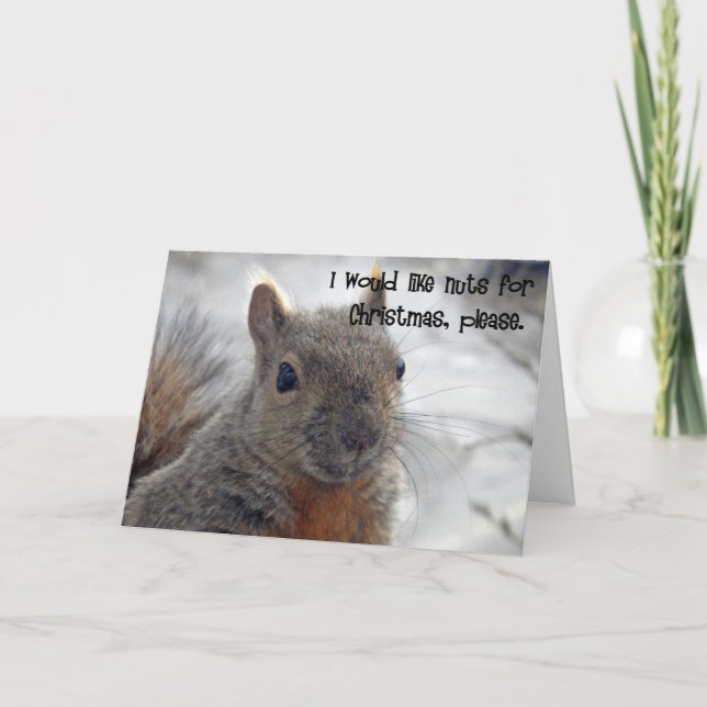 ekorre julwish helgkort (Framsida)