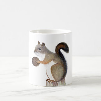 ekorre kaffemugg