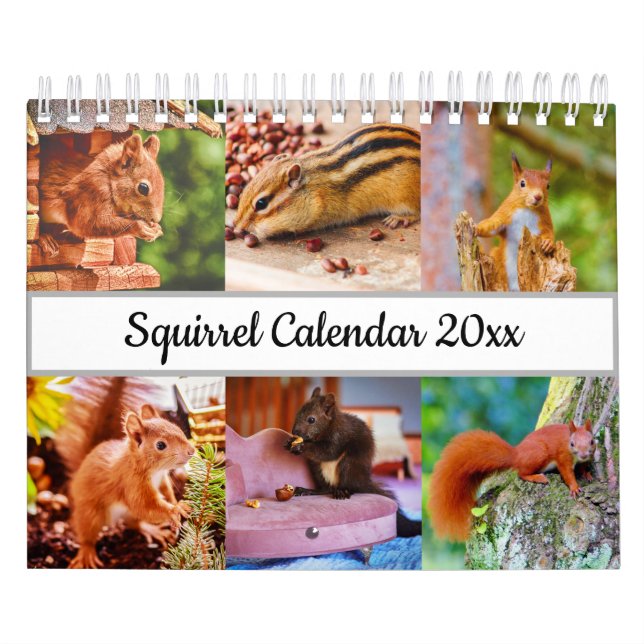 ekorre kalender (Omslag)