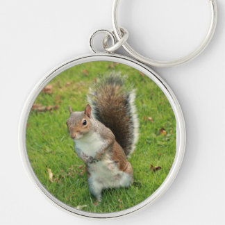 Ekorre Keychain Rund Silverfärgad Nyckelring