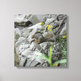 ekorre längs bäck canvastryck